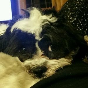 Meet your Posher, Stacey